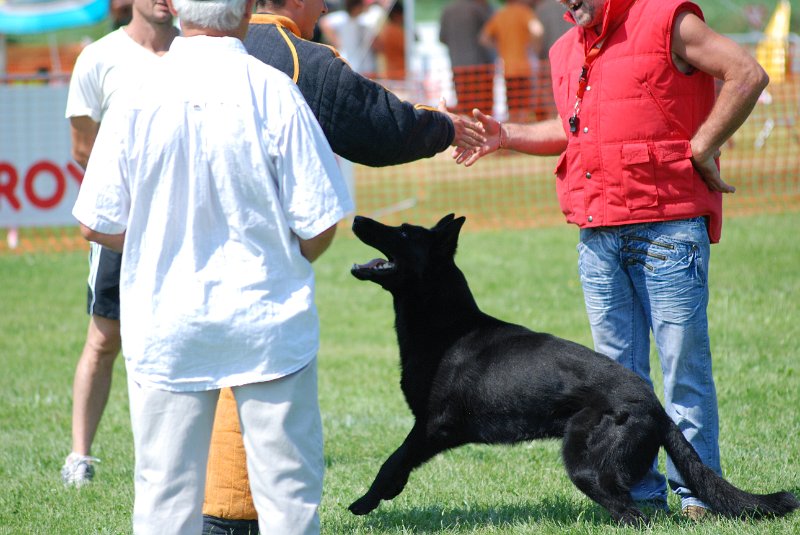DSC_0486.JPG