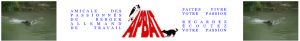 amicale-passionnes-chien-berger-du-travail-2016-09-08_145511