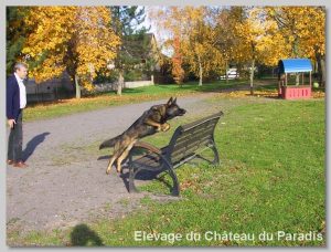 broeck-mi-nov-06