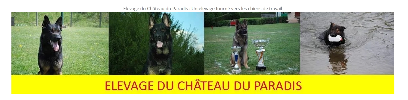ELEVAGE DU CHATEAU DU PARADIS